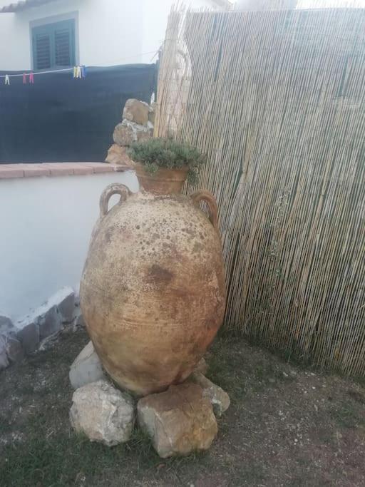 Villetta A Schiera Nei Pressi Del Mare Livorno Dış mekan fotoğraf